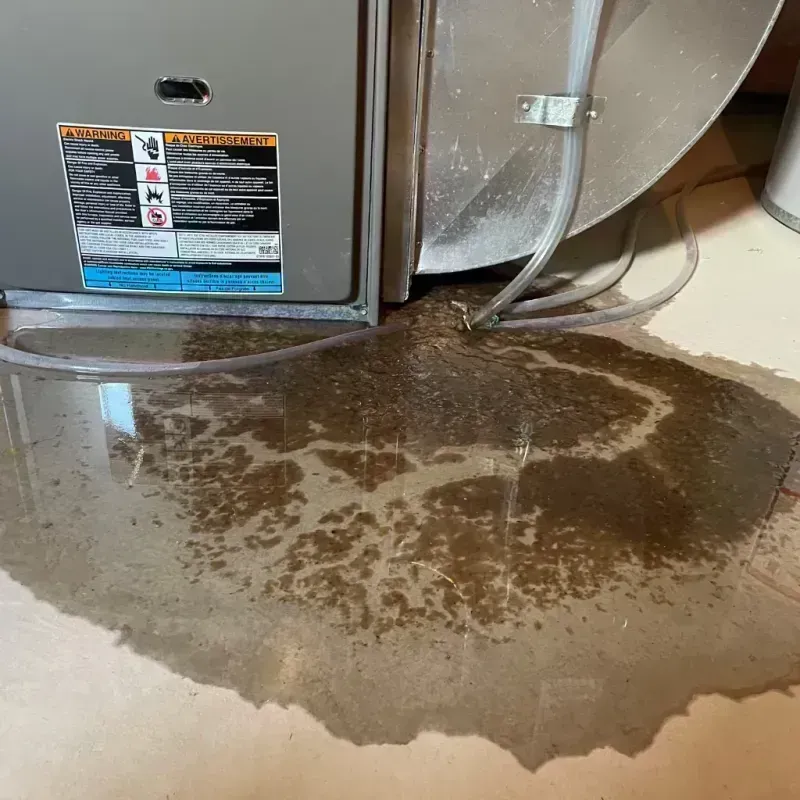 Appliance Leak Cleanup in Spencerville, NM